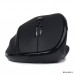 LiveTech Art Vertical Wireless Mouse 