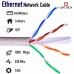 LiveTech CAT6 100 Meter LAN Ethernet Cable