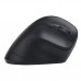 LiveTech Glide Vertical Wireless Mouse